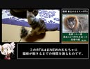 猫様 新品のおもちゃRTA