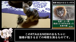 猫様 新品のおもちゃRTA