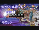 ドラゴンクエスト9　ゆっくり実況プレイ　その30　【決戦！暗黒皇帝！！】