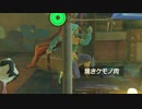 ゲルドの街の焼肉屋で空中を走ってみた＜依頼＞