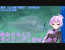 【豊北（山口県）】ゆかりさんとダイビングしませんか？