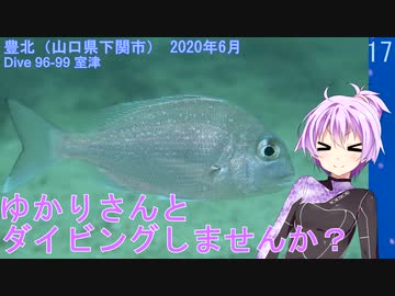 【豊北（山口県）】ゆかりさんとダイビングしませんか？