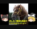 ばんえい競馬名馬紹介～中年の星「ゴールデンバージ」～