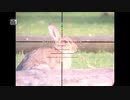 ホモと学ぶウサギvs空気銃.headshot