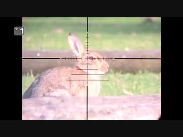 ホモと学ぶウサギvs空気銃.headshot