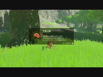 【ゼルダの伝説BotW】最終剣に憧れてBotW part6【初見実況】
