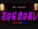 【Naomi＆Naoki】花は桜 君は美し【カバー曲】