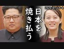 北朝鮮、金正恩「核保有に言いがかりするな！」日本の防衛白書を強く批判、一方、韓国が日本が北朝鮮への先制攻撃の可能性を示唆、韓国「北朝鮮を攻撃した瞬間に韓日戦の始まりだ！」2020/07/19-4