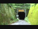 幽霊報道／015　花篇▶︎谷津隧道