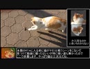 【RTA】 のらねこ物語　20.65