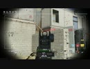 COD MW チーター♂とバトル♂