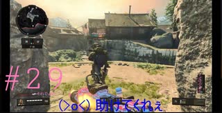 #29 冥王と化す星 {TDM}【COD:Bo4 実況プレイ】