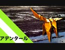 【折り紙】「アデンタール」 15枚【タール】／【origami】 "Adental" 15 pieces【tar】