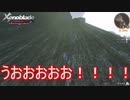 急斜面を激走する漢シュルク　ゼノブレイドディフィニティブエディション実況プレイPart33