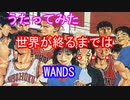 【アニソンを歌ってみた】世界が終るまでは・・・【WANDS/gyogyo】