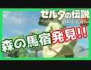 【ゼルダの伝説BotW】バクダンで大体のことは解決する大冒険 part29【実況】