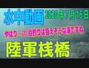 水中動画（2020年7月16日）in 陸軍桟橋
