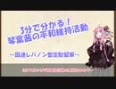 【VOICEROID解説】3分で分かる平和維持活動【国連レバノン暫定駐留軍】