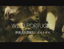 ポルトガルのフレンズ