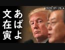 米国防省が本格的な韓国切りを正式に検討し始めている！米国人の27%「在韓米軍いらない、今すぐ撤収させろ」文在寅も堪らずニッコリｗ2020/07/20-4