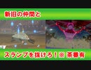 【ジバコイル】ポケモン歴20年以上のおっさんがフライゴンとがんばる Part9