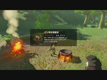 【ゼルダの伝説BotW】最終剣に憧れてBotW part7【初見実況】
