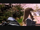 雹寿院千華ダンスショー□□ウインク トランジスタ スター♪
