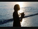 【弾き語り】夜明けと蛍　Toxic Charme