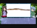 【ゆっくり解説】わかさぎ姫が教える魚　#22匹目　～鱧～