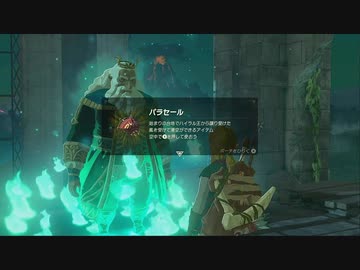 【ゼルダの伝説BotW】最終剣に憧れてBotW part9【初見実況】