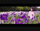 【Alba 須田景凪】カバー　オリジナルMV あまつぶドロップ
