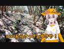 気晴らしのぽけっと旅　あかりと入道ヶ岳