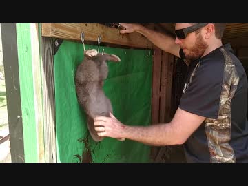 ホモと学ぶウサギvs屠殺激ウマおじさん.gekiuma