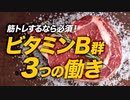 【トレーニー必須】ビタミンB群の3つの働き【ビーレジェンド プロテイン】
