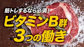 【トレーニー必須】ビタミンB群の3つの働き【ビーレジェンド プロテイン】