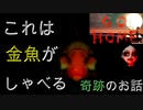 【GO HOME】家に帰ったら金魚がしゃべった件について・・・