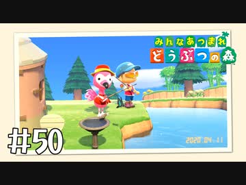 【実況】みんなあつまれ どうぶつの森 #50