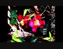 【実況】カイダン実ハ。【part3】