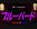 【Masayo＆Masao】ブルーバード【カバー曲】