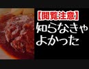 美味しいハンバーグの秘密【TELLER 実況】