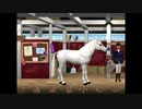 Barbie Riding Club Story Run