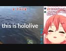 【日本語字幕】これから始めるホロライブ ~Hololive Perfect Guide~【初心者向け】