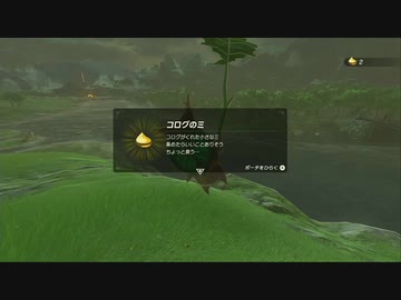 【ゼルダの伝説BotW】最終剣に憧れてBotW part11【初見実況】