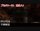 [FF12 TZA] ブラッドソードAを用いた混乱ハメ [字幕解説]
