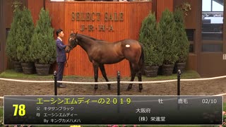 【セレクトセール2020】 １日目１歳馬 上場番号51～100