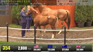 【セレクトセール2020】 ２日目当歳馬 上場番号351～400