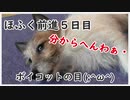 犬の芸達者ほふく前進を教えてみた5/12【ドッグトレーナー】