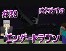 ドキッ！初心者だらけのマインクラフト【2人実況】part30