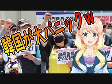 【韓国の反応】外資企業が韓国撤退を決定し、撤退撤回を要求するデモに発展ｗｗ【世界の〇〇にゅーす】