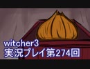探し人を求めてwitcher3実況プレイ第274回